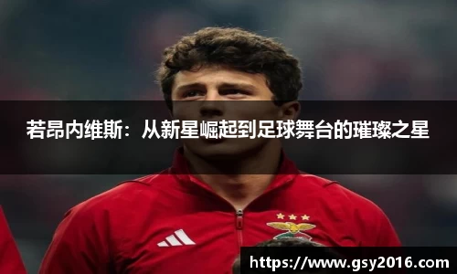 若昂内维斯：从新星崛起到足球舞台的璀璨之星